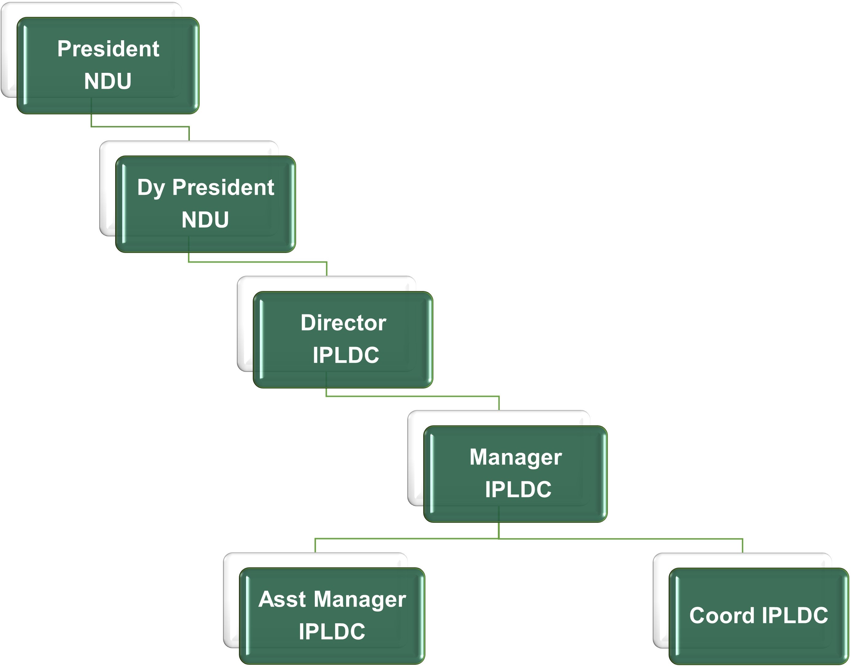 IPLDC Organogram